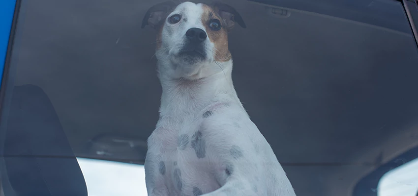 Car Lockout Solutions in Monrovia, California